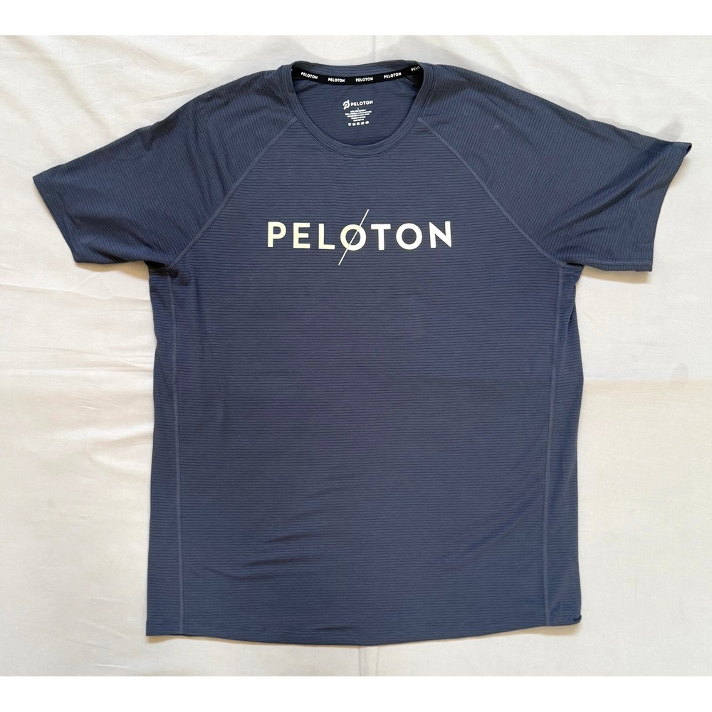 Peloton Mens Training T-Shirt Large Gray Blue Striped Logo‎ Athletic Gym Tee L